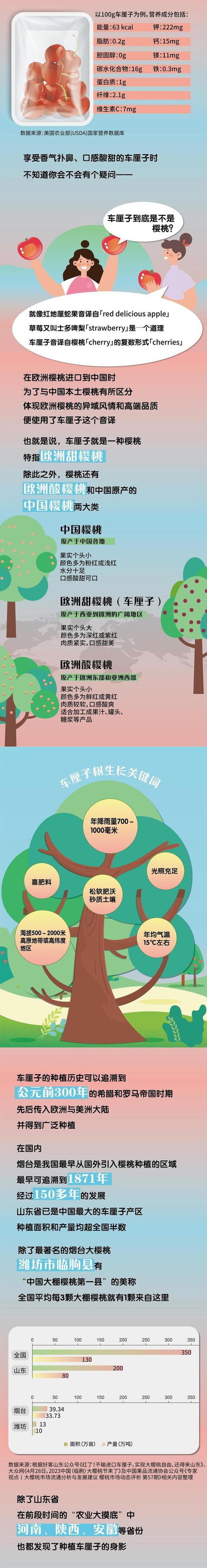 进口水果价格跳水,进口水果的价格