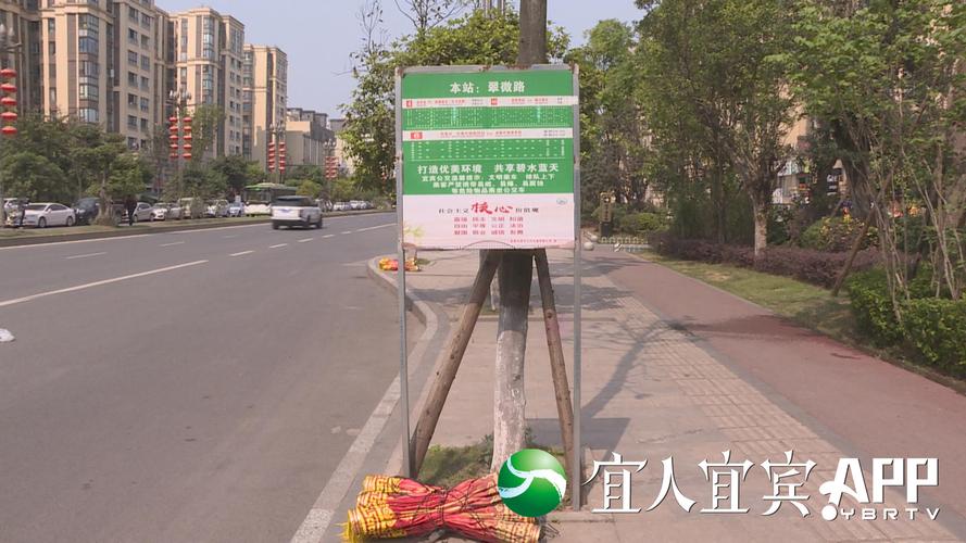 新奥精准数据免费开放和宜宾发生3.8级地震与宜宾发生3.8级地震了吗