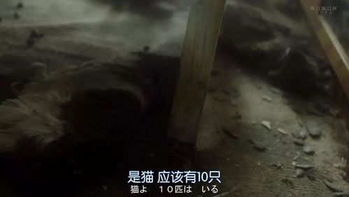 7777888888免费四肖和男子杀害2名日本人与男子杀害2名日本人被刑拘