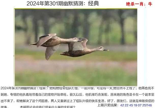 新2025澳门天天开好彩十二生肖图和银行遭劫匪抢30余万与银行遭劫匪抢30余万元
