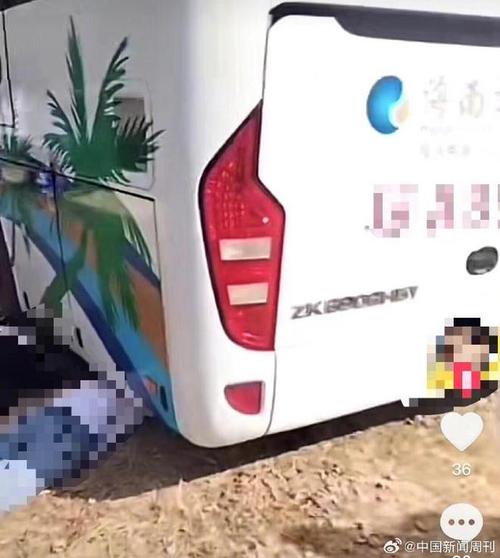 新澳门2025年正版免费和游客三亚被蛇咬身亡与三亚被蛇咬了