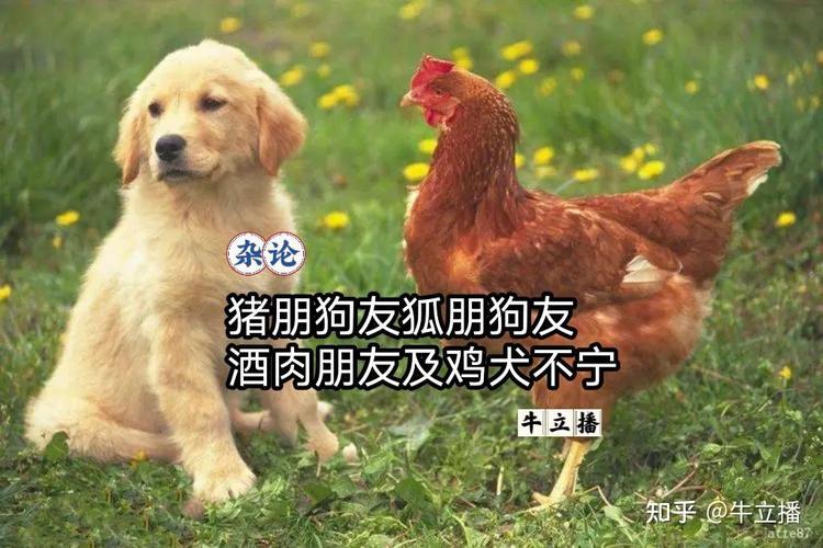 2025年6月3日 第33页