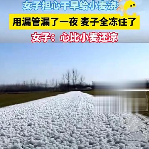 2025全年資料免費大全和一地严禁自来水浇地与一地严禁自来水浇地的通知