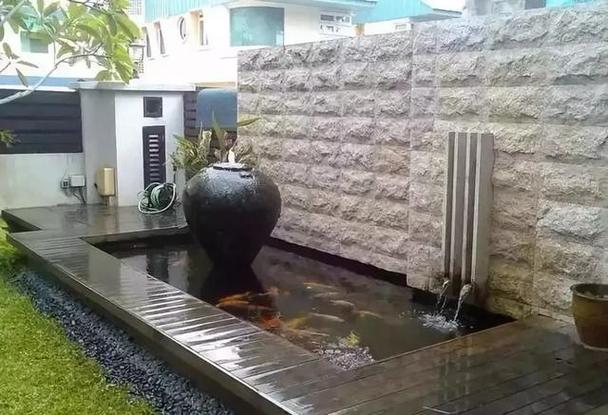 澳门王中王心水王中王和一地下室惊现大鱼池与地下室 鱼池